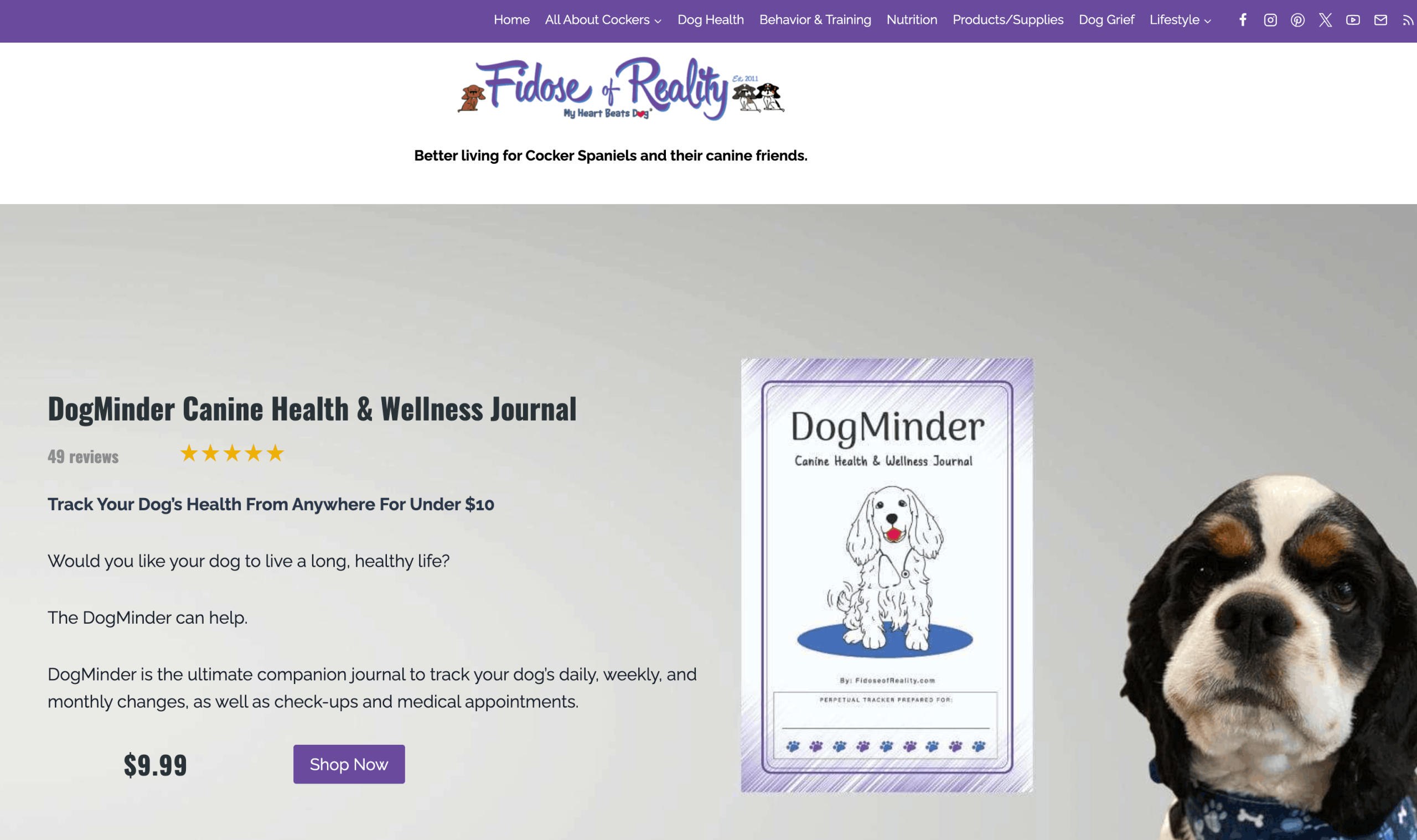 DogMinder sales page pet copywriter sample