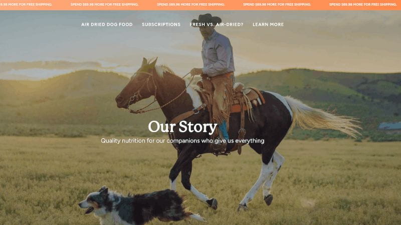 About us page for pet copywriting